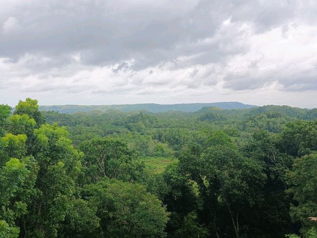 Chocolate Hill Dream🍃 Chocolate Hill Dream🍃