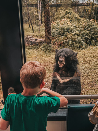 A Wild Day Out – Vinpearl Safari Phu Quoc
