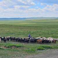 🏜️🐎 끝없는 초원이 펼쳐진 나라, 몽골🇲🇳✨
