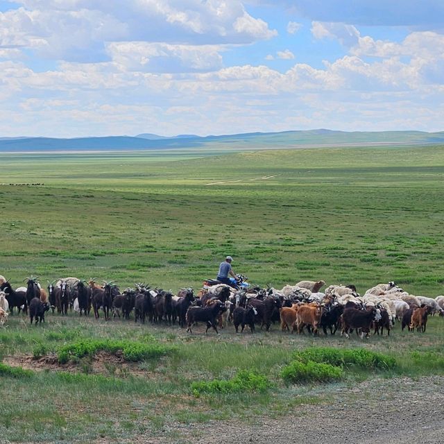 🏜️🐎 끝없는 초원이 펼쳐진 나라, 몽골🇲🇳✨