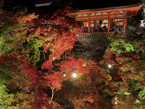 บรรยากาศใบไม้เปลี่ยนสีที่นารา เกียวโต และโอซาก้า