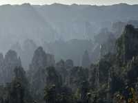Zhangjiajie National forest park🙌🏼✨🔮