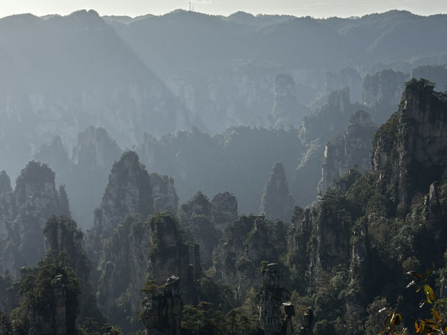 Zhangjiajie National forest park🙌🏼✨🔮 Zhangjiajie National forest park🙌🏼✨🔮