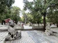 Why Dai Temple Is So Important