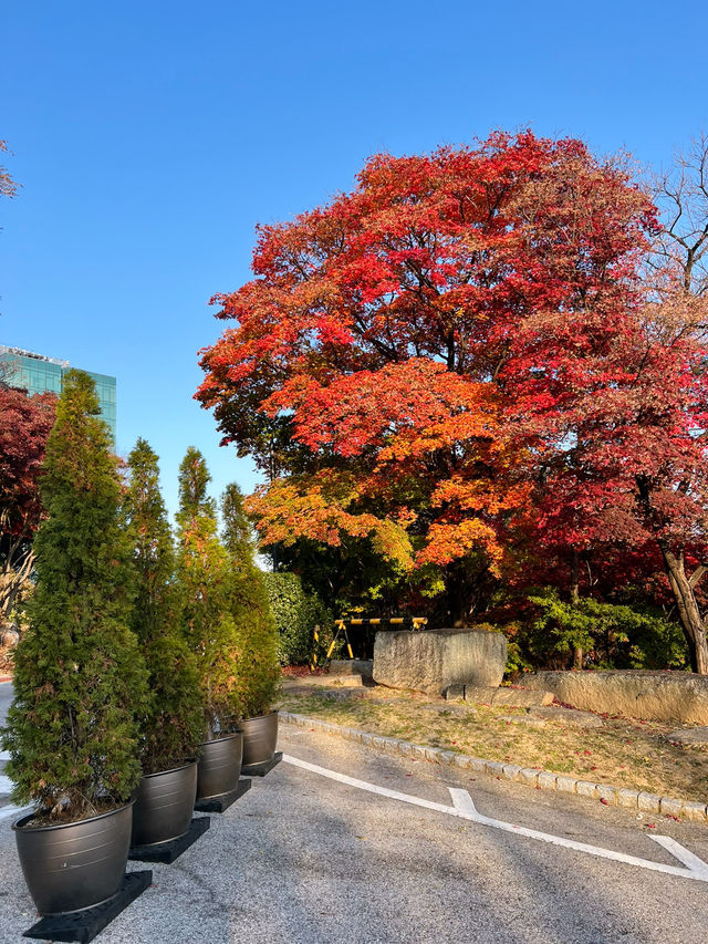 아차산과 워커힐 길을 오가며
