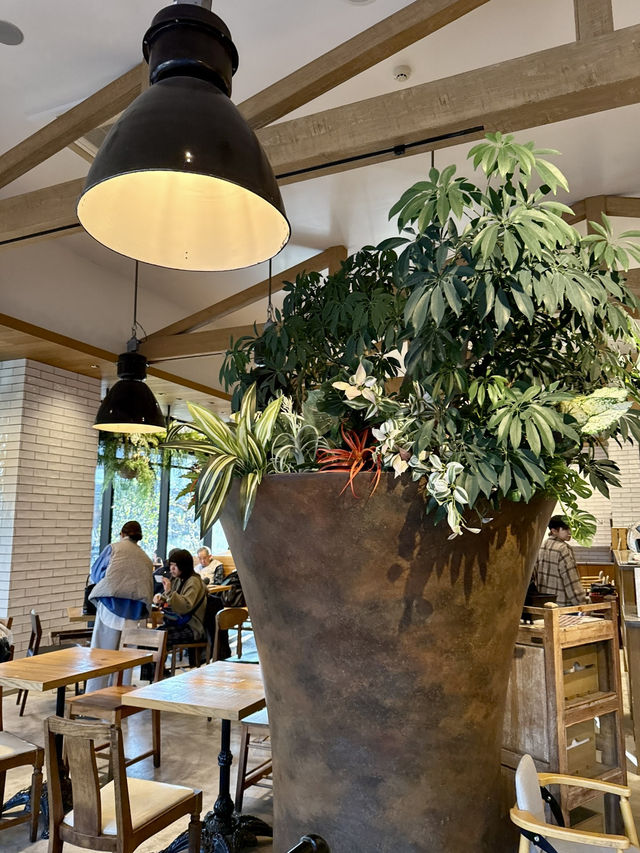 Fresh air & fresh greens at Mr.Farmer Kisarazu Fresh air & fresh greens at Mr.Farmer Kisarazu