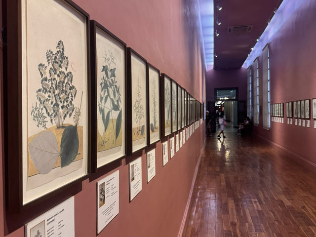 Art Walk Manila🎨 Art Walk Manila🎨