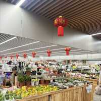 영원한 봄의 도시, 꽃이 지지않는 쿤밍