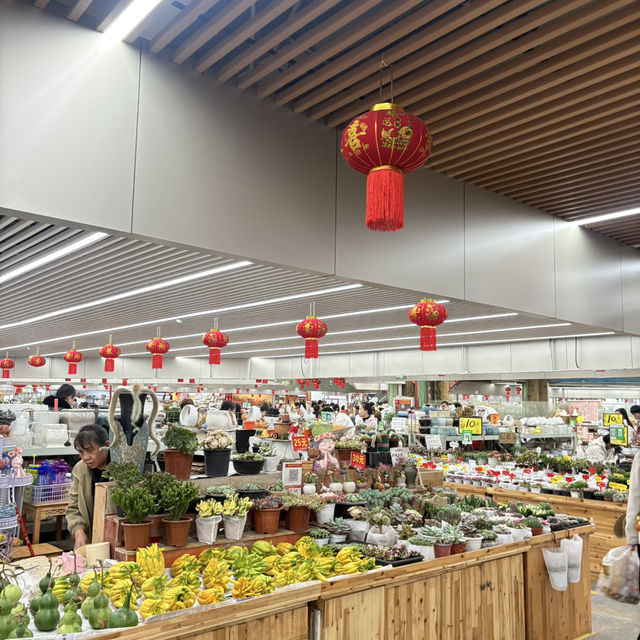 영원한 봄의 도시, 꽃이 지지않는 쿤밍