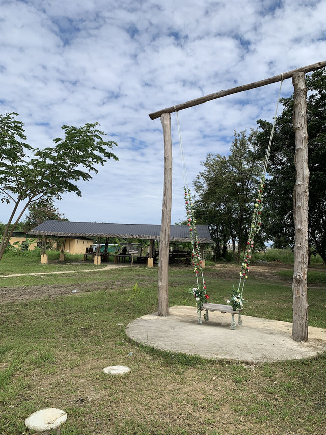 치앙마이 시내에서 20분만 가면 볼 수 있는 코끼리카페 치앙마이 시내에서 20분만 가면 볼 수 있는 코끼리카페