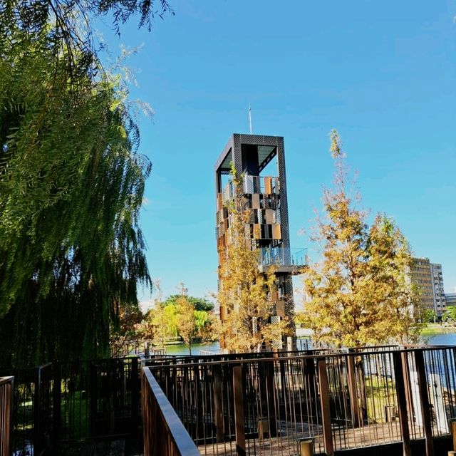 🏭 台中｜帝國糖廠×與舊城市的對話時光