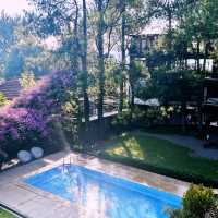 Nature-Lover’s Dream Stay: Cozy Hotel Review 🏡🌲