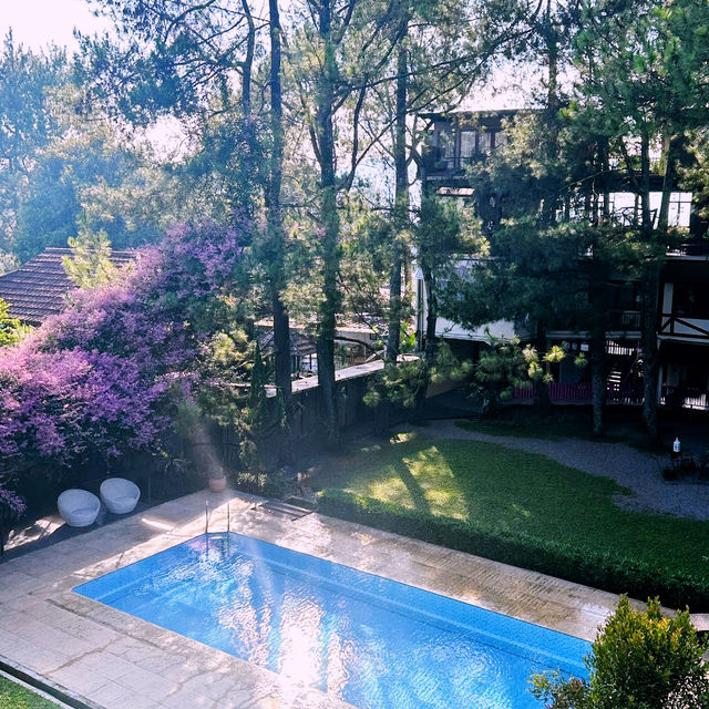 Nature-Lover’s Dream Stay: Cozy Hotel Review 🏡🌲 Nature-Lover’s Dream Stay: Cozy Hotel Review 🏡🌲