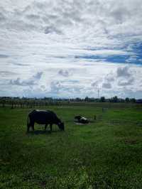 Hoi An 2 Days Travel Guide