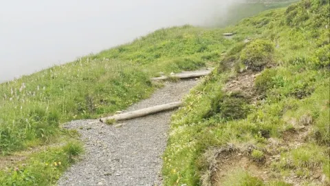 Pendakian Stoos Ridge — traveler post in Stoos