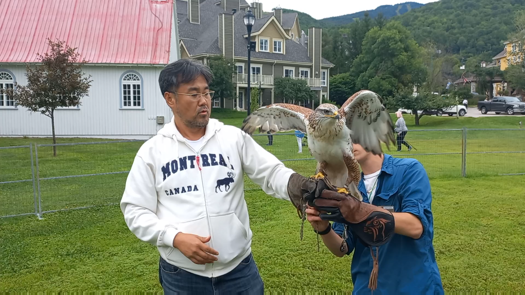 앗! 독수리 🦅  손 위에 앉았어요!!