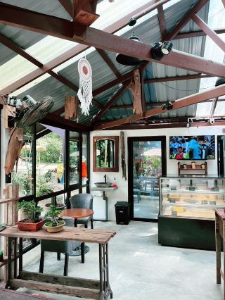 Secret Forest Retreat Hidden Among Lush Greenery