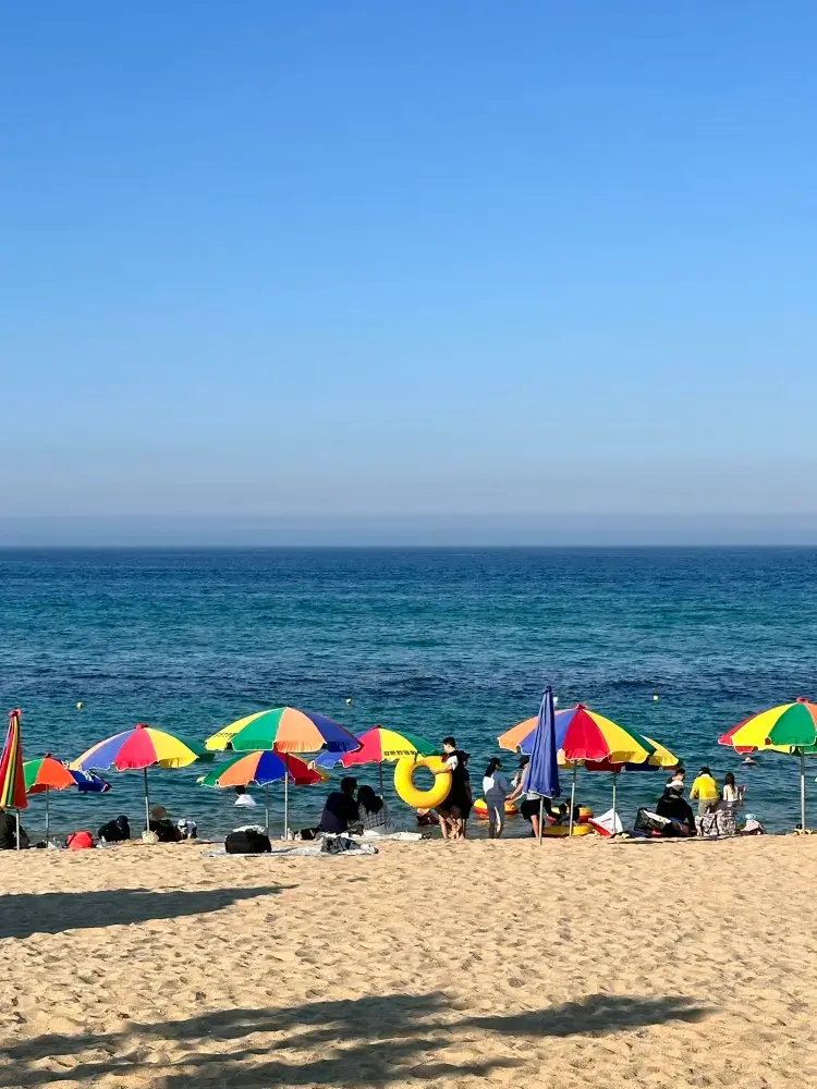 🌊 강릉 여행 추천 | 바다부터 순두부 젤라또, 아르떼뮤지엄까지 하루 코스