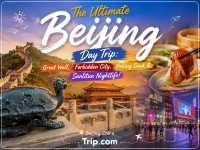 The Ultimate Beijing Day Trip: Great Wall, Forbidden City, Peking Duck & Sanlitun Nightlife!北京经典一日游
