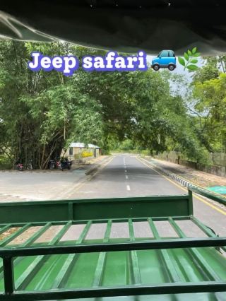 My first trip to Chitwan 🐘🌿❤️ A journey full of adventure, nature, beautiful views, and unforgettable moments. From exploring the wild to enjoying peaceful time surrounded by nature, every moment felt special. ✨🌳📸 This trip will always be one of those memories that brings a smile to my face. 🥹❤️