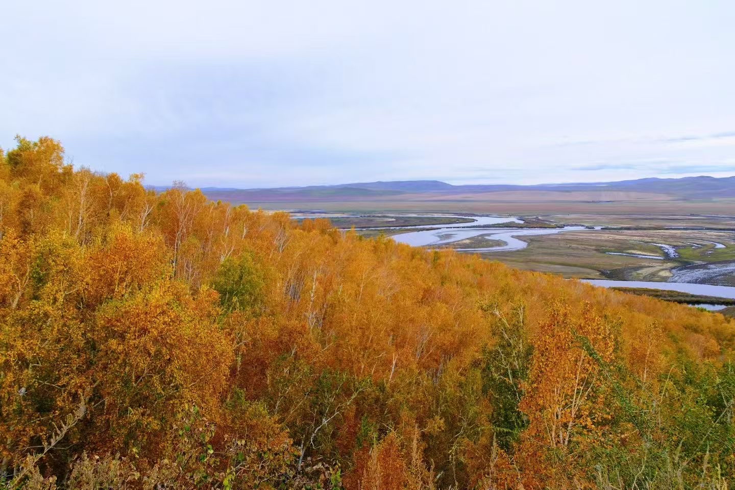 Erguna Wetland: Inner Mongolia’s Underrated Natural Masterpiece