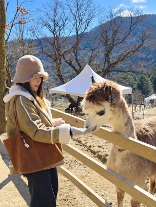 The cutest activity in Korea