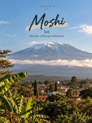 🇹🇿 Review of a trip to Moshi, a small town with Mount Kilimanjaro as a backdrop 🏔️☕

When thinking of Tanzania, many people picture safaris, but in Moshi, you'll find a different atmosphere – a peaceful town with mountain views, coffee plantations, and waterfalls amidst nature 🌿

Moshi is located in northern Tanzania, near Mount Kilimanjaro, the highest peak in Africa at 5,895 meters. It's a popular starting point for travelers wanting to conquer this iconic mountain.

✨ 3 Must-Visit Places in Moshi

🏔️ Mount Kilimanjaro — A major highlight of the region. Even if you don't plan to climb to the summit, you can still explore the natural beauty around the base. Climbing the summit requires several days and a tour with a licensed trekking operator.

💦 Materuni Waterfalls — Beautiful waterfalls amidst trees and banana plantations in the village of Materuni. The nature trail offers a refreshing atmosphere and is often combined with activities such as learning to make traditional Chagga coffee.

☕ Chagga Coffee Tour — A highly recommended activity! Learn about everything from planting to harvesting coffee beans. From roasting and grinding to brewing local coffee, it's an experience that makes a cup of coffee tell a story.

🍌 Foods to try: Local dishes made with bananas, a key ingredient for the Chakka people, as well as East African dishes like Ugali, commonly eaten with meat or vegetables.

💡 Fun fact: For a clear view of Mount Kilimanjaro, allow extra time as clouds may obscure the peak. For waterfall trips, wear comfortable, well-fitting shoes. For serious hiking, prepare physically, wear warm clothing, and plan for altitude acclimatization.

Moshi is the perfect town for those seeking a relaxed nature experience, where you can hike mountains, listen to waterfalls, sip fresh coffee, and learn about local culture all in one trip. 🌍💚

#Tanzania #Moshi #Kilimanjaro #AfricaTravel