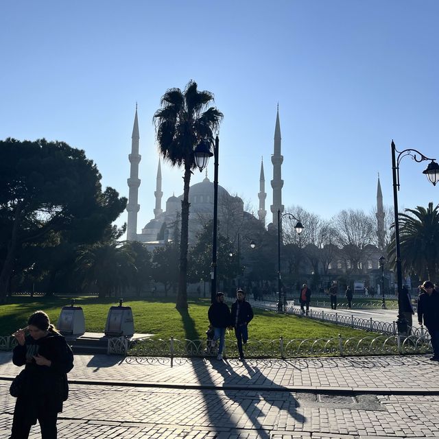 Layover in Istanbul 