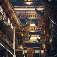 Shanghai Odyssey: A Class Trip Unforgettable