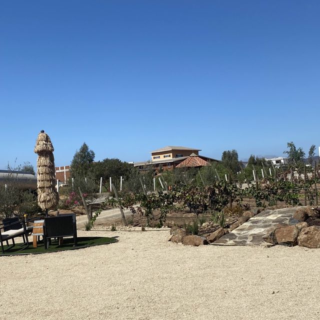 Peace & quiet & vineyard