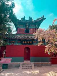 The Oldest Buddhist Temple in China