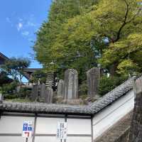 【成田🇯🇵成田山新勝寺】パワースポットへお参りに☺️