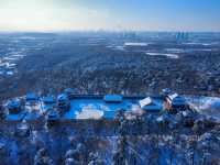 A Magical Winter Escape: Snowy Shenyang’s Must-Visit Spots
