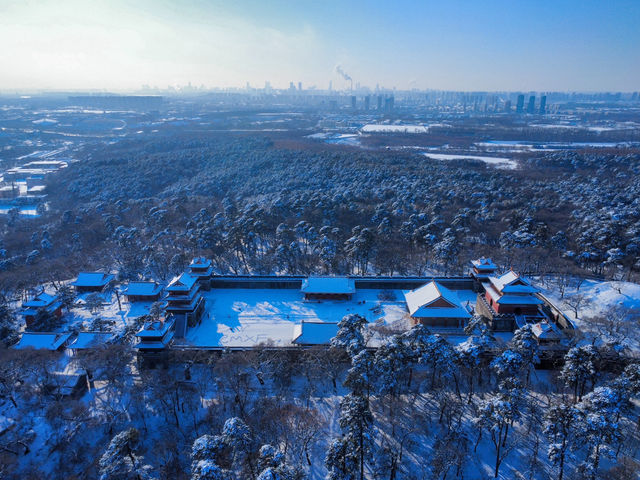 A Magical Winter Escape: Snowy Shenyang’s Must-Visit Spots