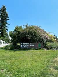 Vancouver한인타운 근처에 한번쯤 꼭 가볼만한 Burnaby Mountain Park👍🏻