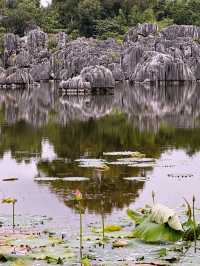 🌿 “Where Earth Dreamed in Stone”