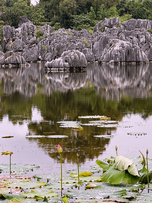 🌿 “Where Earth Dreamed in Stone”