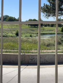 few places around Denver that i visited on urban hike from the Lyndsey Flanagan Court House.