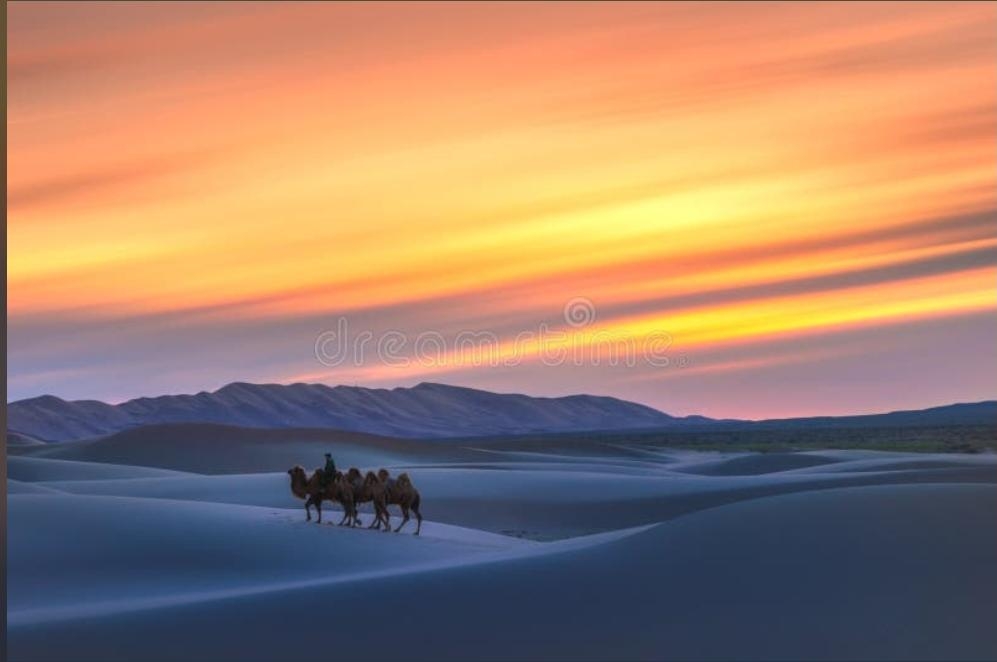 🇲🇳【Bốn điểm tham quan cổ điển không thể bỏ qua ở Mông Cổ】🐎⛺️🐫🗿✨