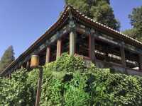 來北海公園看珍藏