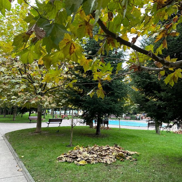 Autumn in Romania be like ❤️
