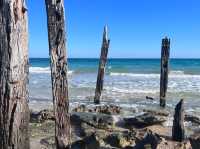 Out of this world-Port Willunga Jetty Pylon🇦🇺