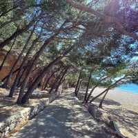 Punta Rata beach Brela 🏖️