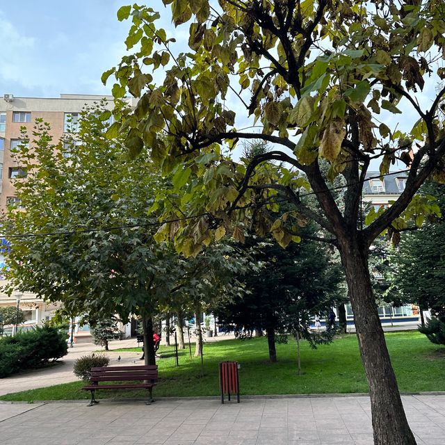 Autumn in Romania be like ❤️