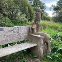 CASTLE SEMPLE COUNTRY PARK