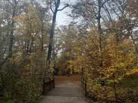 Autumn in Park Maksimir Zagreb 🗺️