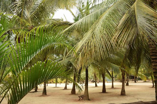 Serenity and Spice in Zanzibar