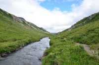 Discovering Denali National Park