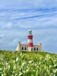 📍Agulhas National Park, South Africa 🇿🇦 