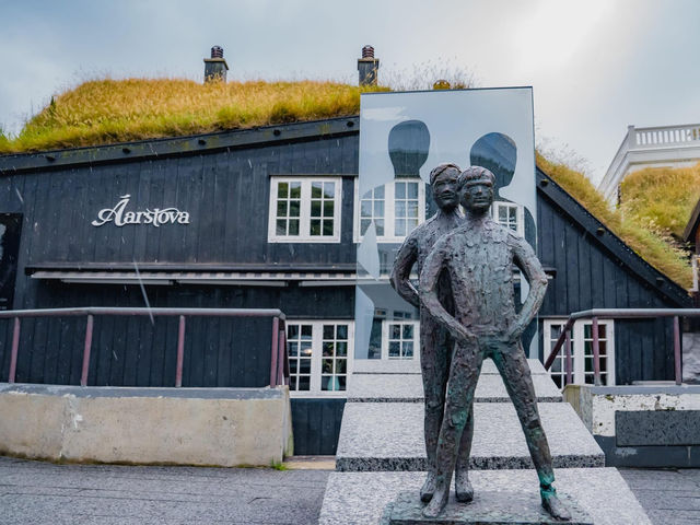 My lovely trip in Faroe Islands 🗺️